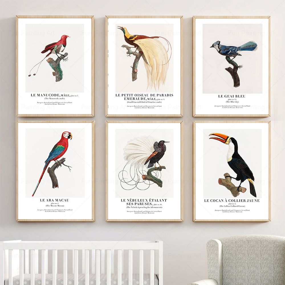 Vintage Paradise Bird Wall Art - Furniture Paradise & Hardware Ghaziabad By Owner 评论和价格