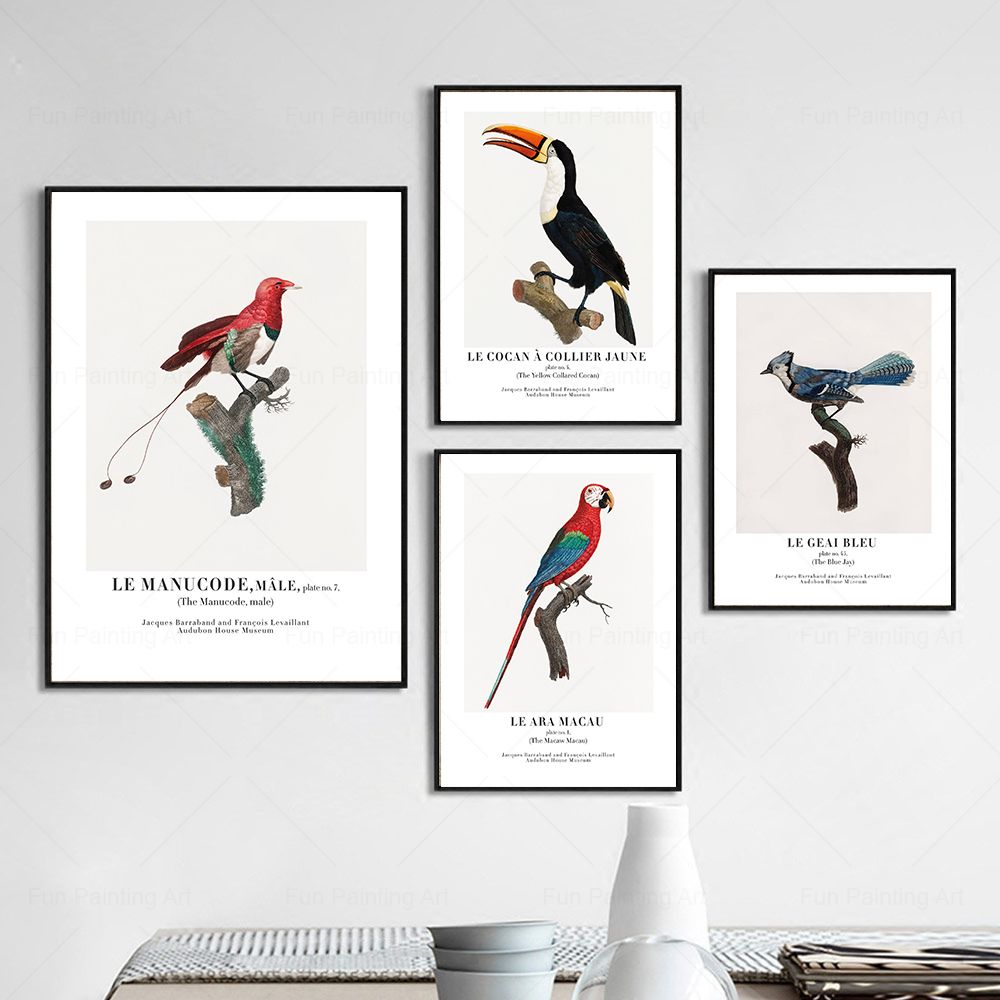 Vintage Paradise Bird Wall Art - Furniture Paradise & Hardware Ghaziabad By Owner 评论和价格