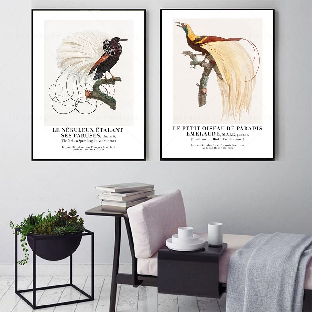 Vintage Paradise Bird Wall Art - Furniture Paradise & Hardware Ghaziabad By Owner 评论和价格